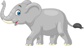 elephant olm